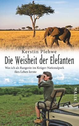 Die Weisheit der Elefanten: Was ich als Rangerin im Krüger-Nationalpark fürs Leben lernte