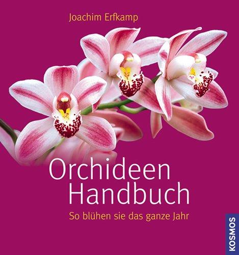 Orchideen Handbuch: So blühen sie das ganze Jahr