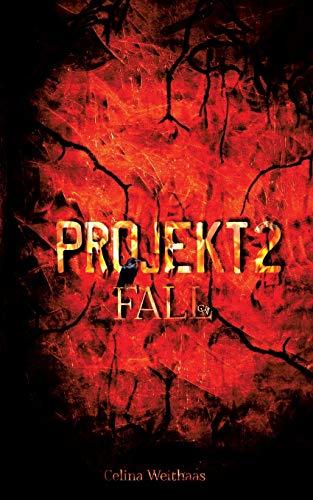 Projekt II: Fall (Die Chroniken des Grauen Mannes)