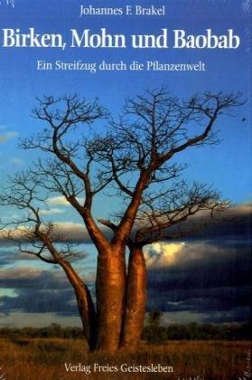 Birken, Mohn und Baobab: Ein Streifzug durch die Pflanzenwelt