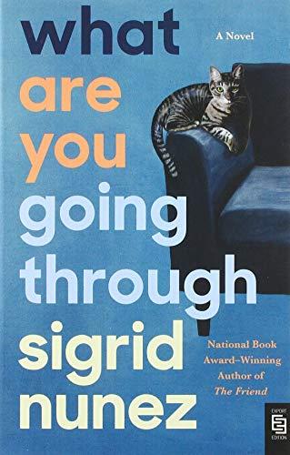 What Are You Going Through: A Novel