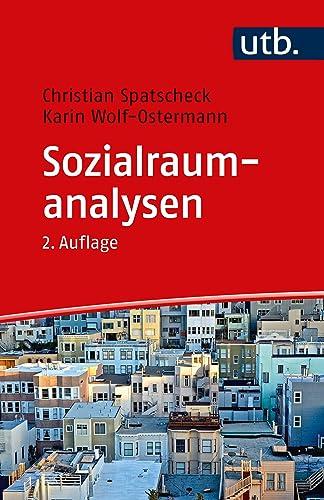 Sozialraumanalysen: Ein Arbeitsbuch für soziale, gesundheits- und bildungsbezogene Dienste