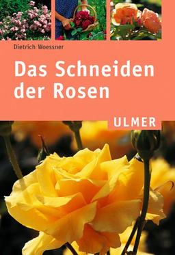 Das Schneiden der Rosen