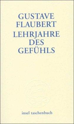 Lehrjahre des Gefühls: Geschichte eines jungen Mannes. Roman (insel taschenbuch)