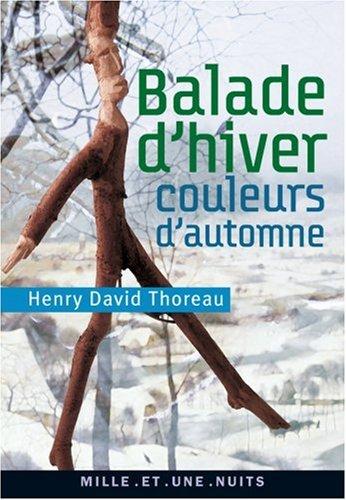 Balade d'hiver. Couleurs d'automne