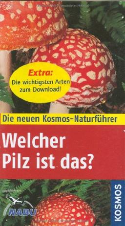 Welcher Pilz ist das?