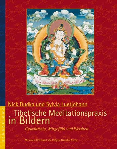 Tibetische Meditationspraxis in Bildern: Gewahrsein, Mitgefühl und Weisheit