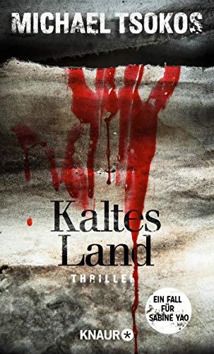 Kaltes Land: Ein Fall für Sabine Yao (Eiskalte Thriller)