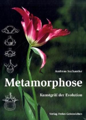 Metamorphose: Kunstgriff der Evolution