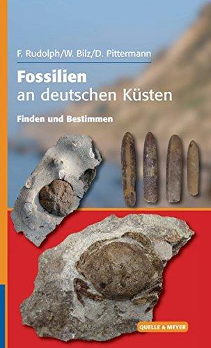 Fossilien an deutschen Küsten: Finden und Bestimmen