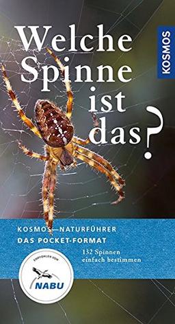 Welche Spinne ist das?: Kosmos Basic (Kosmos-Naturführer Basics)