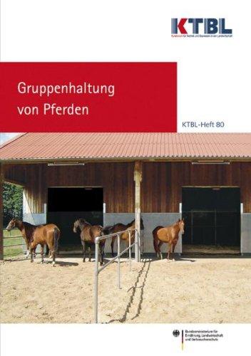 Gruppenhaltung von Pferden: Ergebnisse des BMELV-Bundeswettbewerbes "Landwirtschaftliches Bauen 2007/2008"