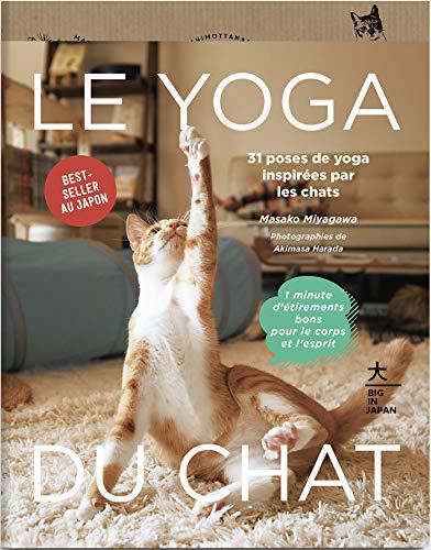 Le yoga du chat