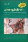 Leitungsbahnen: Arterien, Venen, Lymphbahnen und Nerven schematisch