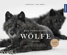 Die Pipestone-Wölfe: Aufstieg und Fall zweier kanadischer Wolfsfamilien