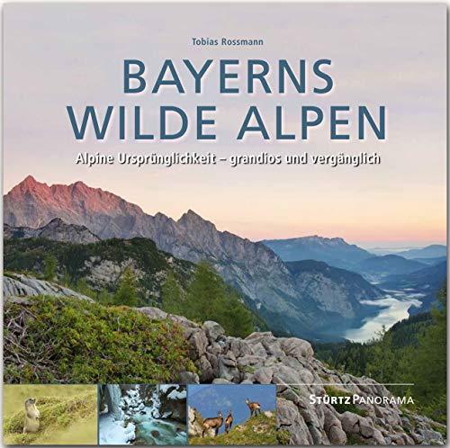 Bayerns wilde Alpen - Alpine Ursprünglichkeit - grandios und vergänglich: Ein hochwertiger Fotoband mit über 210 Bildern auf 192 Seiten im quadratischen Großformat - STÜRTZ Verlag (Panorama)