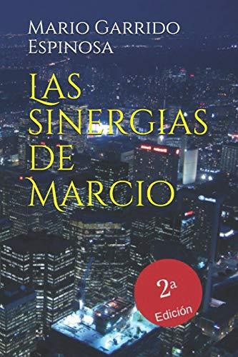 Las Sinergias de Marcio: Sátiras de programadores e informáticos dentro del mundo corporativo de las empresas multinacionales de consultoría, tecnología y desarrollo de software