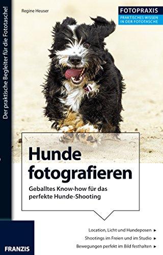 Hunde fotografieren: Geballtes Know-how für das perfekte Hunde-Shooting (Fotopraxis)