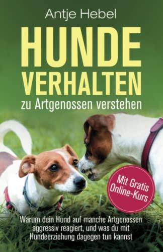 Hundeverhalten zu Artgenossen verstehen: Warum dein Hund auf manche Artgenossen aggressiv reagiert, und was du mit Hundeerziehung dagegen tun kannst