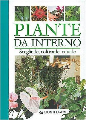 La cura delle piante da interno