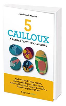 5 cailloux à retirer de votre chaussure : Boris Cyrulnik, Tobie Nathan, Emmanuelle Piquet, Didier Pleux, Rebecca Shankland, Saverio Tomasella... : enquête auprès de 18 psy