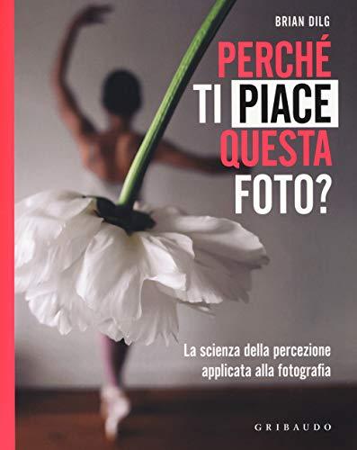 Perché ti piace questa foto? La scienza della percezione applicata alla fotografia. Ediz. illustrata (Hobby)