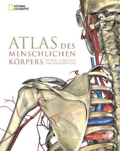 Atlas des menschlichen Körpers: Aufbau, Funktion und Krankheiten