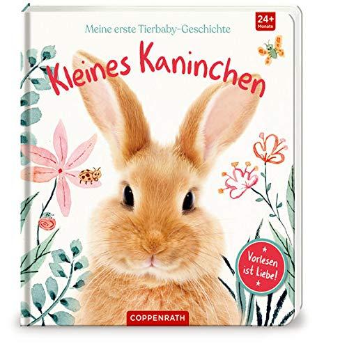 Meine erste Tierbaby-Geschichte: Kleines Kaninchen