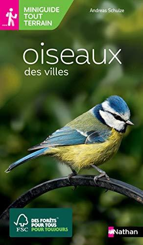 Oiseaux des villes