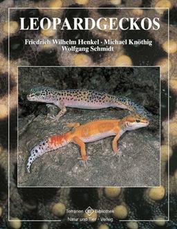 Leopardgeckos