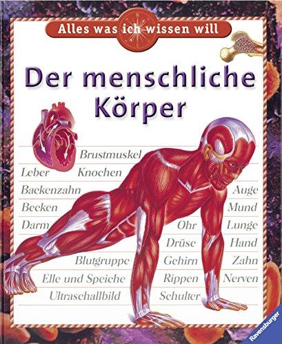 Der menschliche Körper (Alles was ich wissen will)