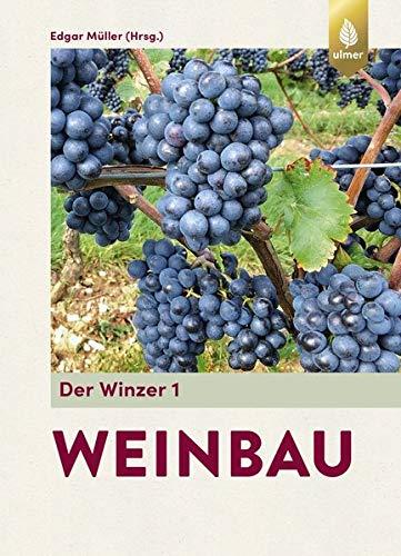 Der Winzer 1: Weinbau