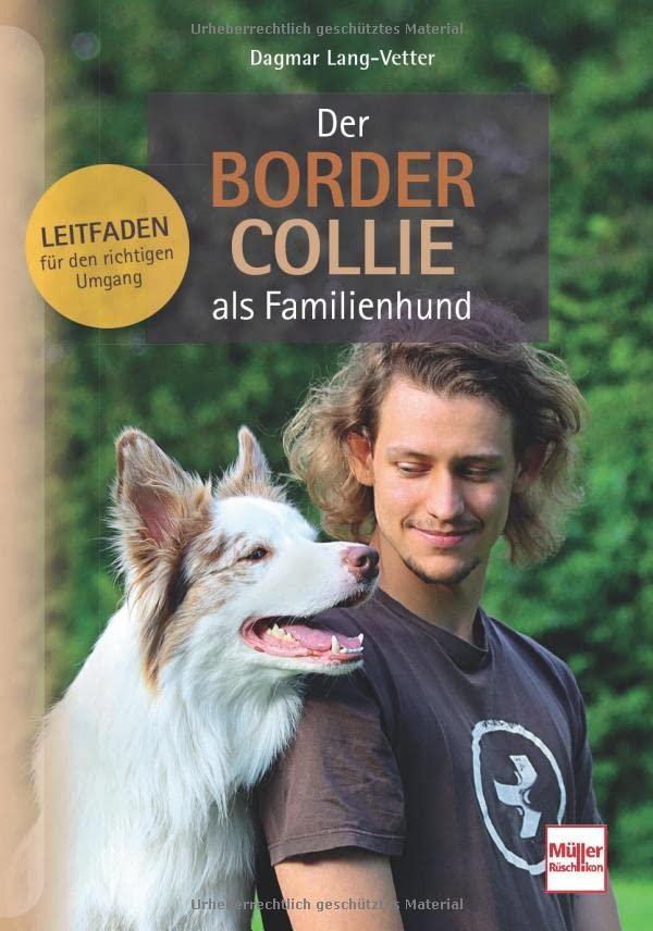 Der Border Collie als Familienhund: Leitfaden für den richtigen Umgang