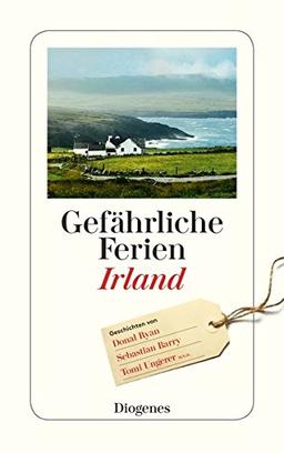 Gefährliche Ferien - Irland (detebe)