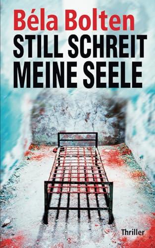 Still schreit meine Seele (Berg und Thal ermitteln)