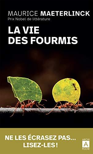 La vie des fourmis