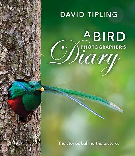 A Bird Photographer's Diary