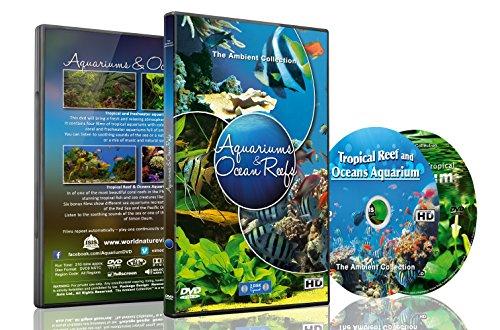 Aquarien DVD - 2 DVD Set Aquarien und Riffe des Ozeans mit farbenfrohen Korallen und Fischen