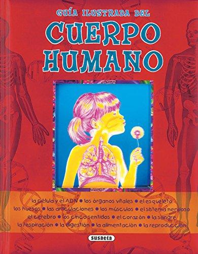 Guía ilustrada del cuerpo humano (Guía Ilustrada Cuerpo Humano)