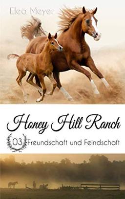 Honey Hill Ranch 03: Freundschaft und Feindschaft