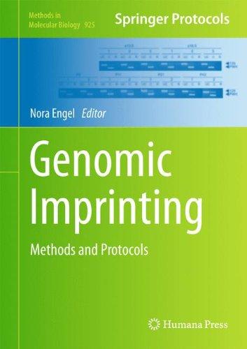 Genomic Imprinting: Methods and Protocols (Methods in Molecular Biology)