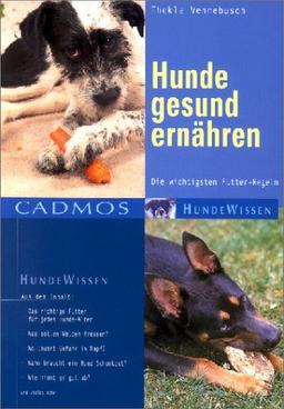 Hunde gesund ernähren: Die wichtigsten Futter-Regeln