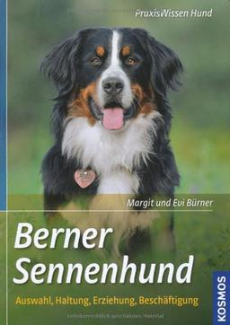 Berner Sennenhund: Auswahl, Haltung, Erziehung, Beschäftigung