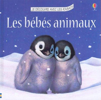 Bébés animaux