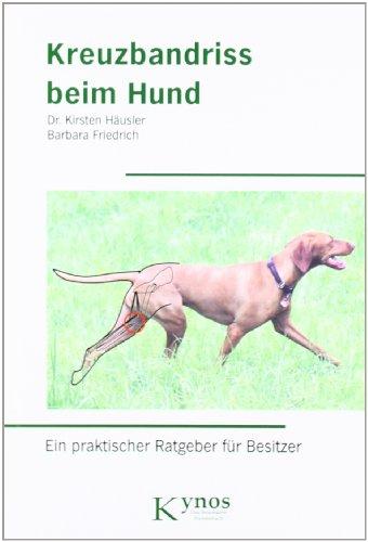 Kreuzbandriss beim Hund: Ein praktischer Ratgeber für Besitzer