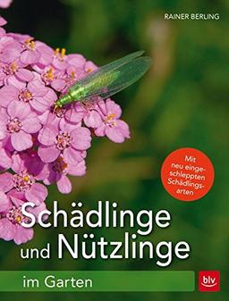 Schädlinge und Nützlinge im Garten: Mit neu eingewanderten Schädlingsarten