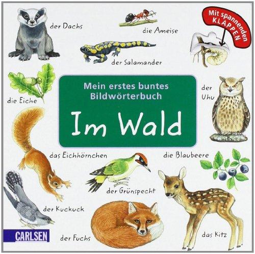 Mein erstes buntes Bildwörterbuch: Im Wald