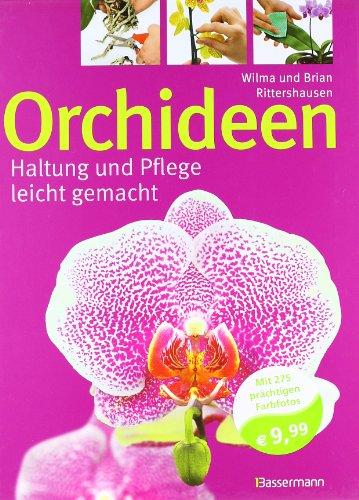 Orchideen: Haltung und Pflege leicht gemacht