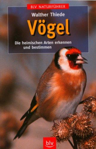 Vögel: Die heimischen Arten erkennen und bestimmen