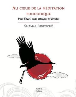 Au coeur de la méditation bouddhique : vers l'éveil sans attaches ni limites